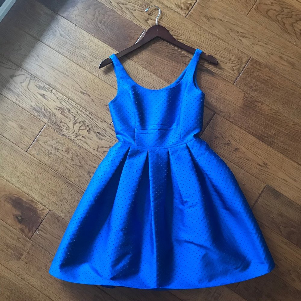 Spectacular Sachin + Babi dress